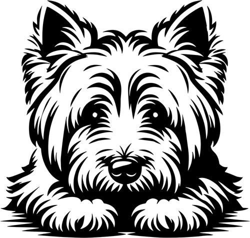West highland terrier - west,