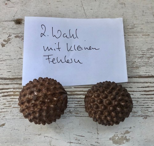 2er set wahl - 2er,