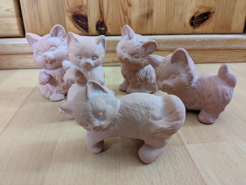 Konvolut katzen in - konvolut,