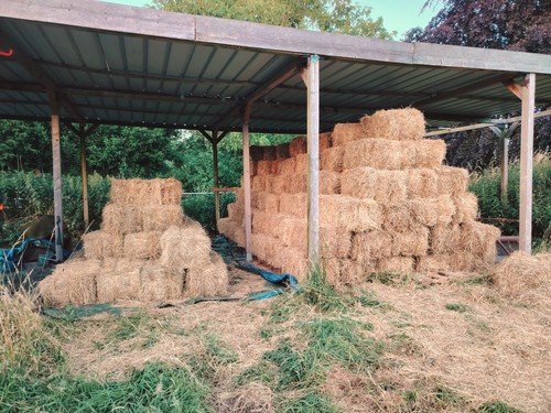 Heuballen heu schnitt - hd,