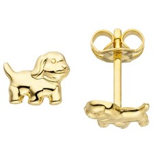 Jobo stud dog 333 gold yellow