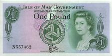 Isle of Man P.38 1 Pound (1983) Tyvek (1) UNC