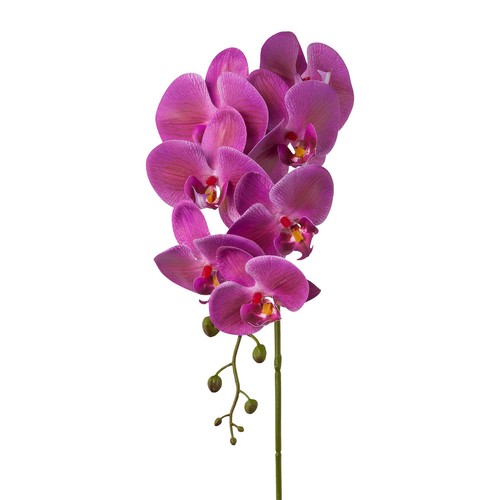 Kunstblume phalenopsis - kunstblume,