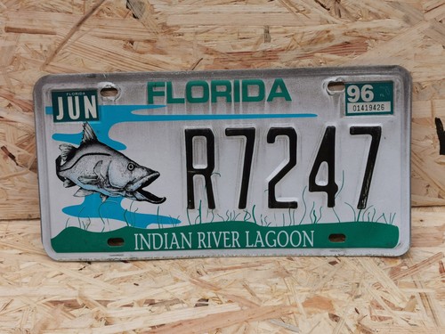 Nummernschild usa florida - usa,