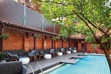 WPC Dielen massiv✓