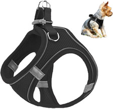 Welpengeschirr Air-Mesh