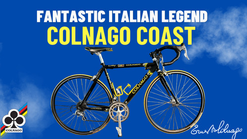 Colnago coast road bike 53cm - coast,