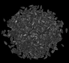 Sonnenblumenkerne schwarz 25