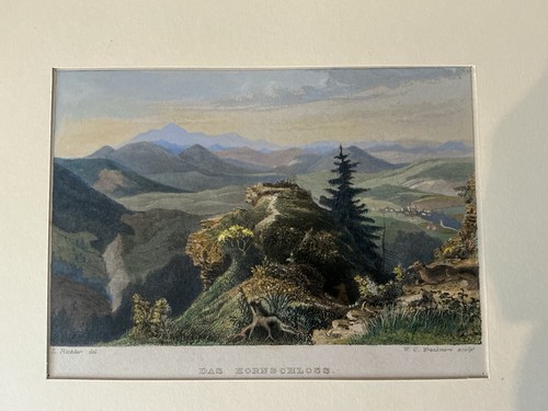 Das hornschloss riesengebirge - das,