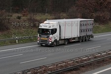 LKW Foto Scania Viehtransporter Polen weiß ABM CONVOI EXCEPTIONNEL #m2ul