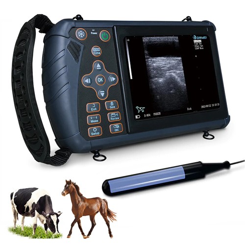 Tragbarer veterinär - tragbarer,