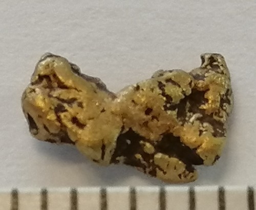 Xxl goldnugget naturgold - xxl, mm
