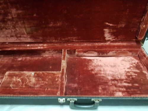 Ampeg burns guitar case - ampeg, /
