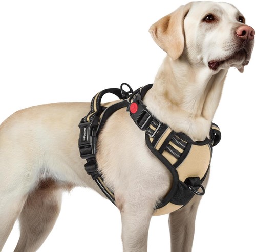 Hundegeschirr beige anti zug - l,