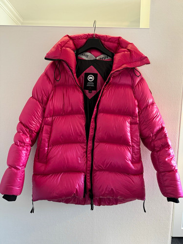 Canada goose summit - goose, pink