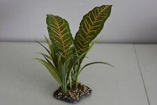 Terrarium Vivarium große