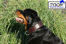 Hundehalsband Leder extra