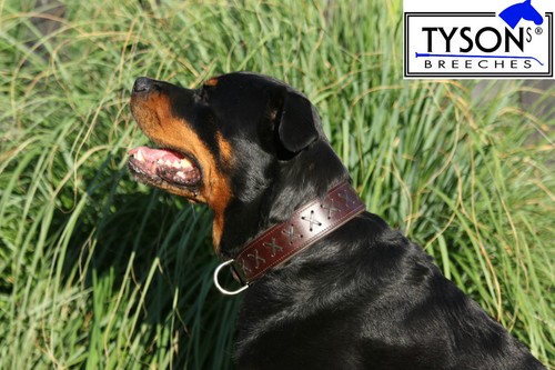 Hundehalsband leder extra - leder,