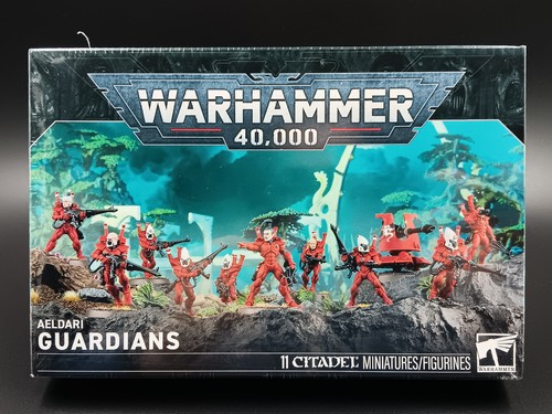 Guardian defenders aeldari - guardian,