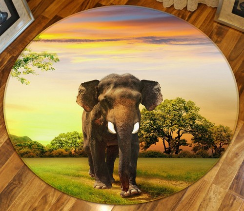Grasland elefant o931 tier - grasland,