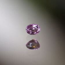 Saphir oval facettiert 1,64 ct 4,7 x 5,4 x 7 mm Safir pink Farbwechsel Ceylon