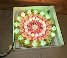 Weihnachtsstern Blinkend Deko Weihnachten Christmas Retro Alt DDR Vintage...