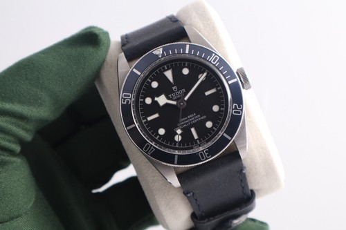 Tudor black bay - bay, stahl