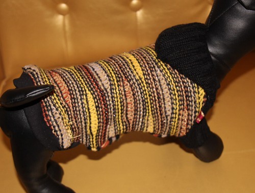 7976_Angeldog_Hundekleidung_Hu
