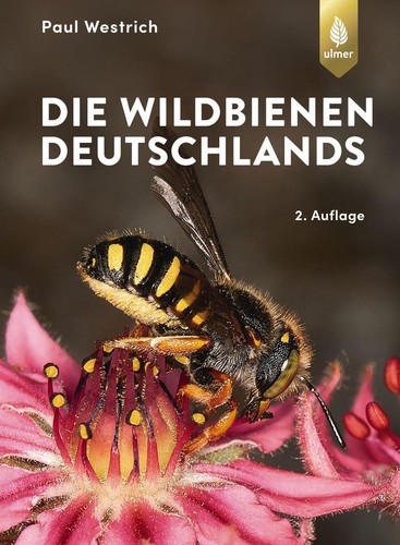 Die wildbienen deutschlands - wildbienen,