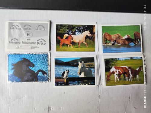 Sticker pferde abenteuer - sticker,