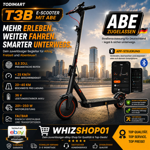 Scooter t3b mit abe - e-scooter,