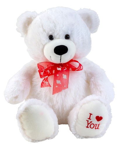 Teddybär kuschelbär weiß - teddybär,