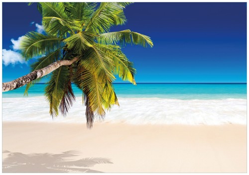 Wallario premium poster plakat - wallario,