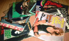 15 Schallplatten Singles Oldies Lords, Kings, Sweet, Troggs, Who, Birkin .......