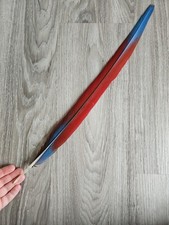 53,5 cm Feder ?❤ Papageienfeder  Ara Vogelfeder Schwanzfeder blau-rot 