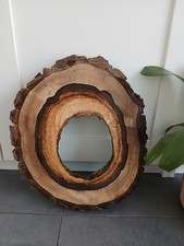 Hohle Nussbaum Baumscheibe ca 35x4cm Holzscheibe Loch Bastelholz Heimwerken DIY