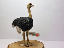 Schleich  Strauß 14744