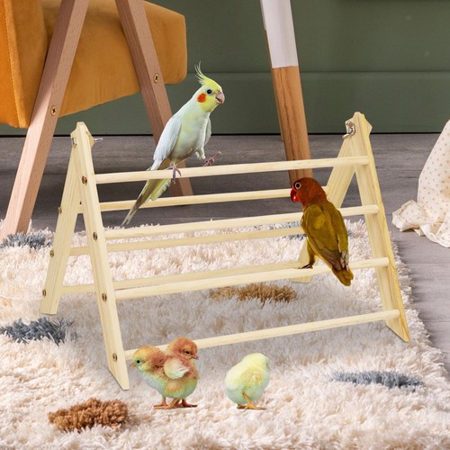 Hühnchen barch jungle - -barch, gym
