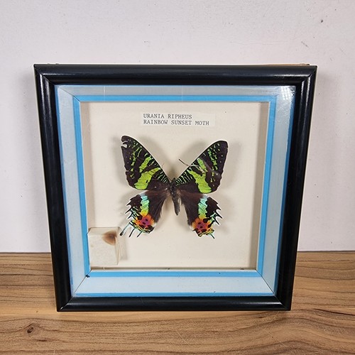 Vintage gerahmte regenbogen - vintage,