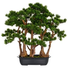 Kunstpflanze bonsai kiefer - kunstpflanze,