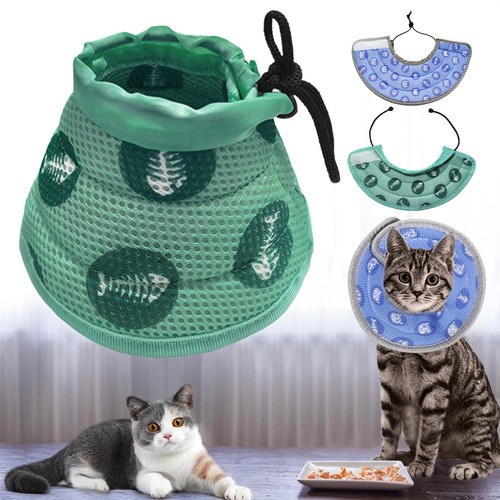 Halskrause für hunde katzen - hunde,