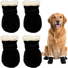 Hundeschuhe Pfotenschutz