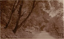 Road Skirting  Loch Lomond