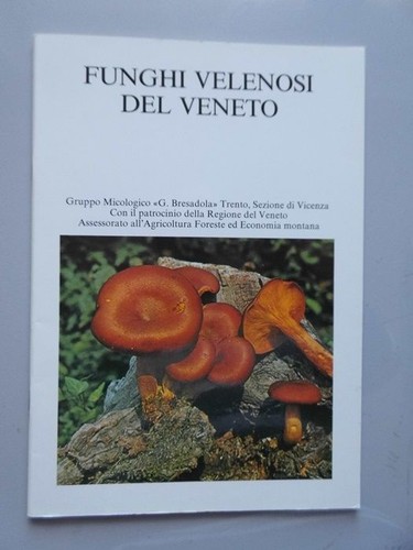 Funghi velenosi del veneto - funghi,