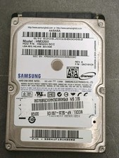320 GB SATA Samsung Spinpoint