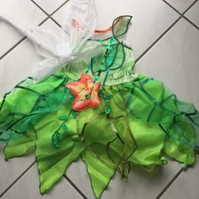 Karneval Fasching Fairy
