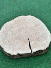 Baumscheibe Esche 41cm