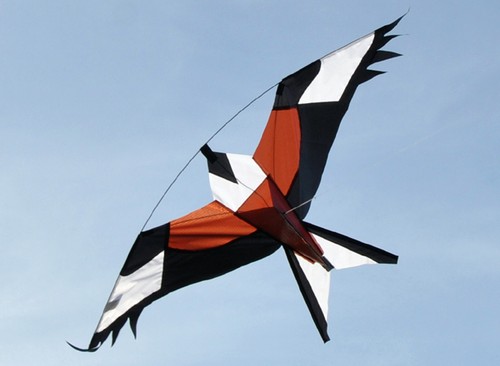 Red hawk kite kits - red,