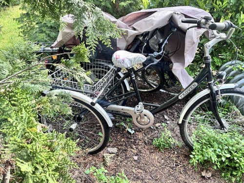 Damenfahrrad gebraucht mit - damenfahrrad,,