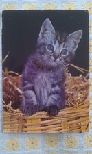 Katze AK, ungelaufen, Kleiner Tiger im Stroh-Korb, Printed in Germany